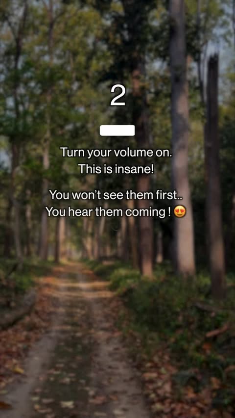 Instagram post by @varun.aditya for OnePlus. Caption reads: [...] elephants first… you feel them. Shot on....