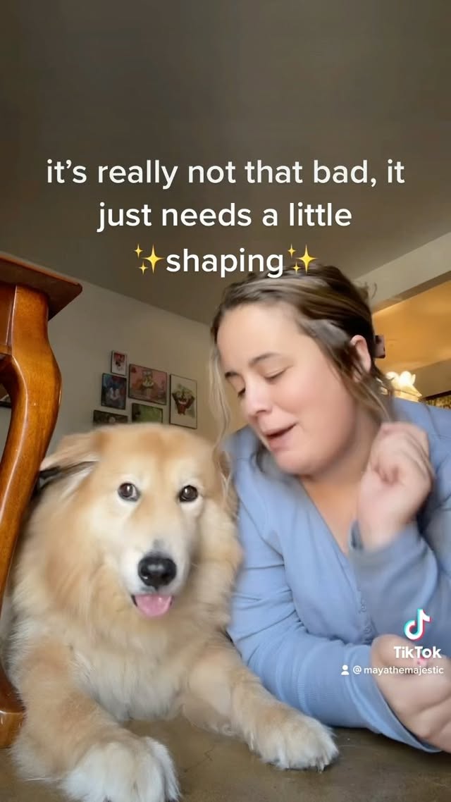 Instagram post by @mayathemajestic for Petsmont. Caption reads: .