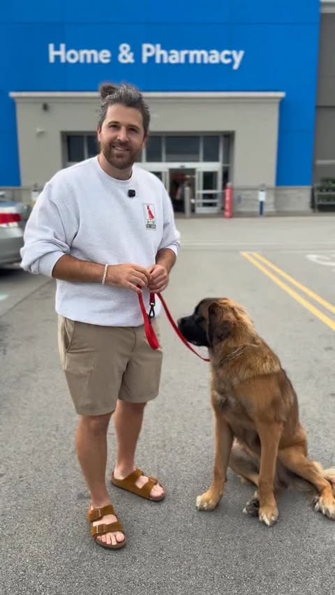 Instagram post by @sayitoncedogtraining for Vetnique. Caption reads: [...] are shopping at Walmart for YuMOVE by....