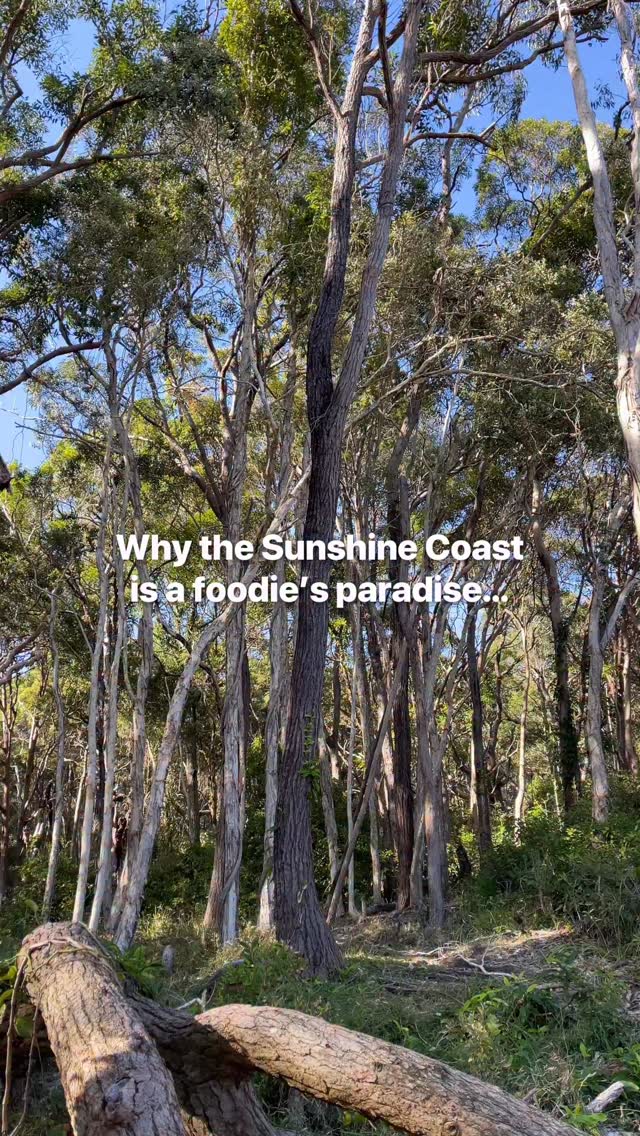 Instagram post by @vj_cooks for Jetstar NZ. Caption reads: A few weeks back we wrapped up our Sunshine Coast....