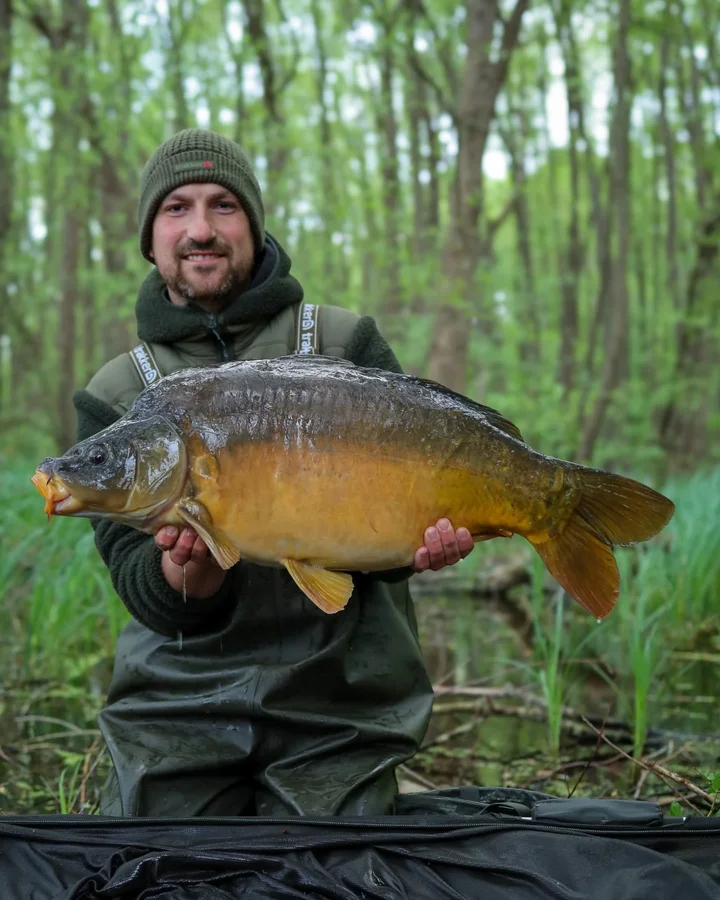 Instagram post by @fisch_am_limit for Deepersonar. Caption reads: 🇩🇪 Meine Erfolgsfarben aus dem Frühjahr.🍀 Als....