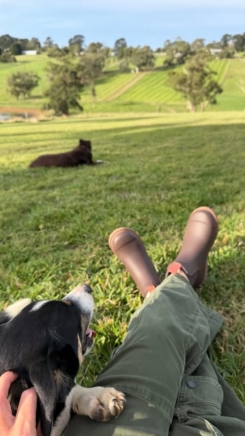 Instagram post by @jacquifelgate for Merry People. Caption reads: I first bought @merrypeople boots for my kids when....