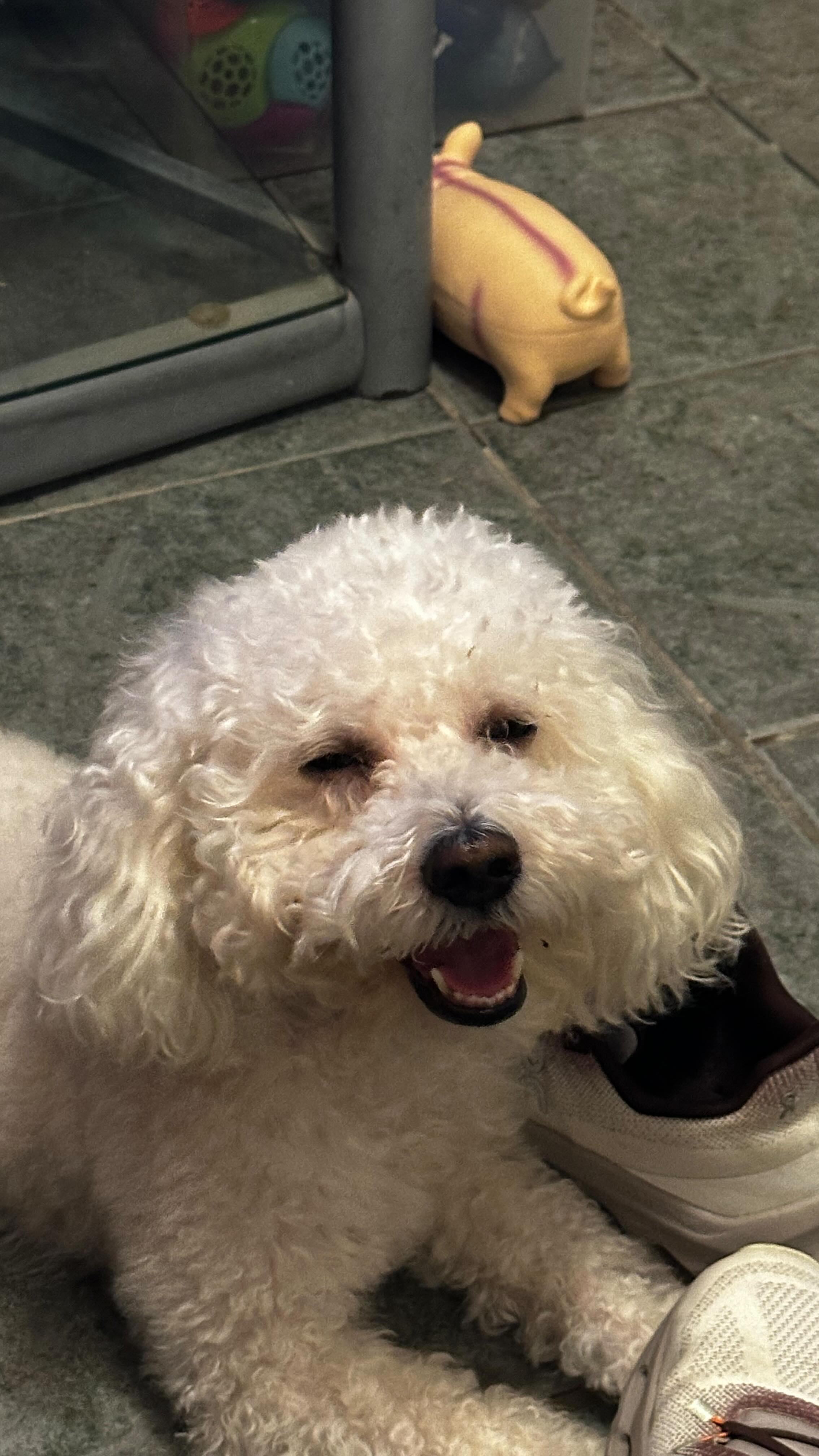 Instagram post by @miguelcisnerosx for CeraVe MX. Caption reads: NUEVO LIMPIADOR EN MEXICO🔥
O Creo que es una....