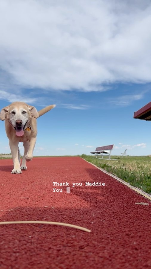 Instagram post by @karathrowsjav for Parity. Caption reads: Thank you, Maddie the Dog, my first and favorite....