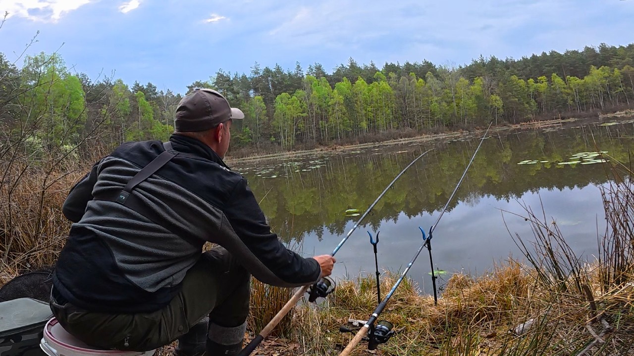 YouTube post by @primanki for fas.st. Caption reads: It works well in the swamp!!! First trip to the....