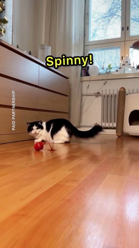 Instagram post by @mauriandcucumbers for Cheerble. Caption reads: Paid partnership with @cheerble_global 

🌀....