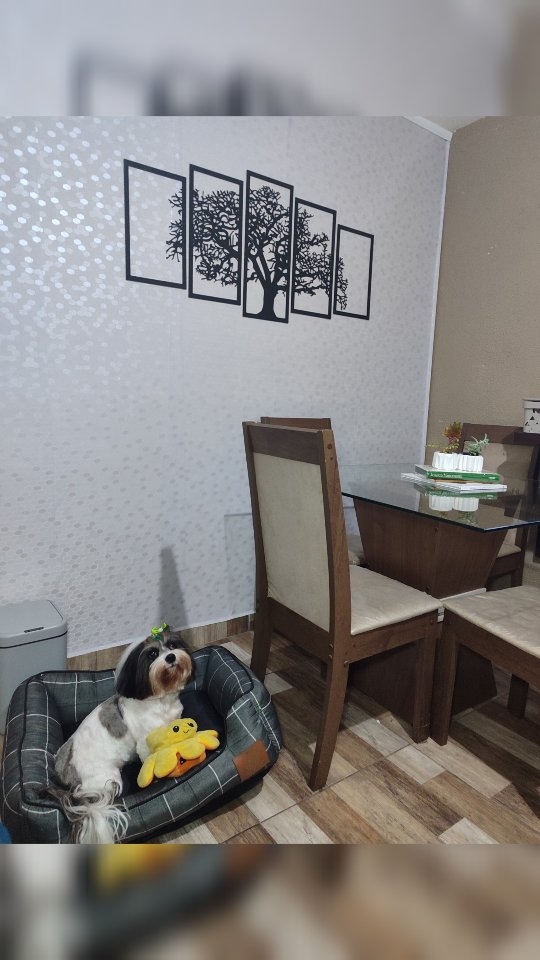 Instagram post by @_piperdog for Shopee. Caption reads: Achadinhos da @shopee_br com Piper 

Aquela parede....