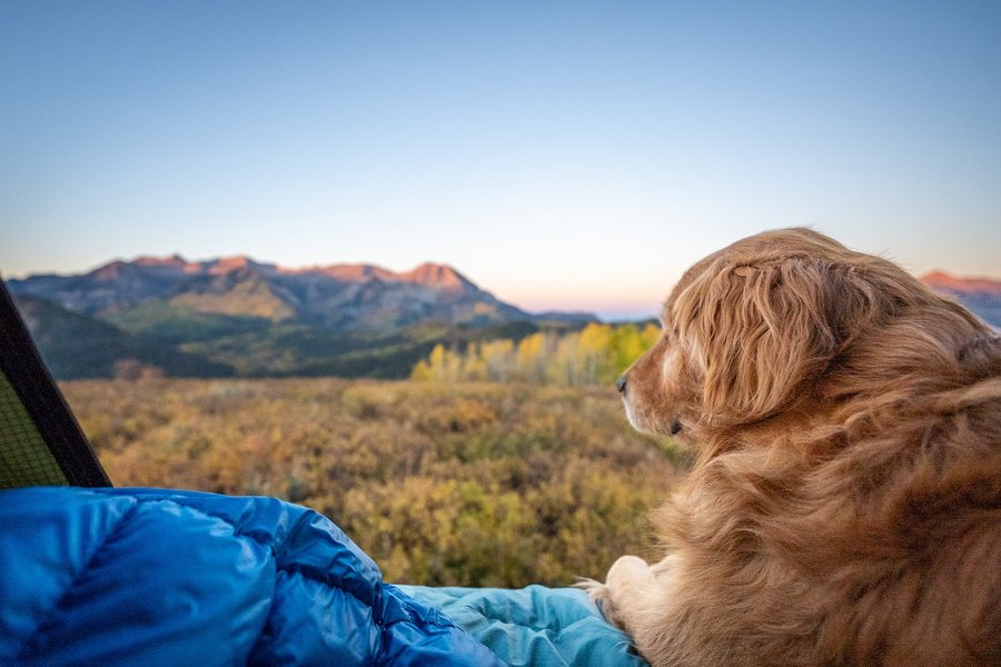 Instagram post by @andrew__muse for Ford Bronco. Caption reads: [...] friends are all I need in this life.....