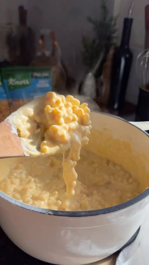 Instagram post by @honestlyadri_ for Knorr. Caption reads: Let @knorr take care of your family’s favorite....