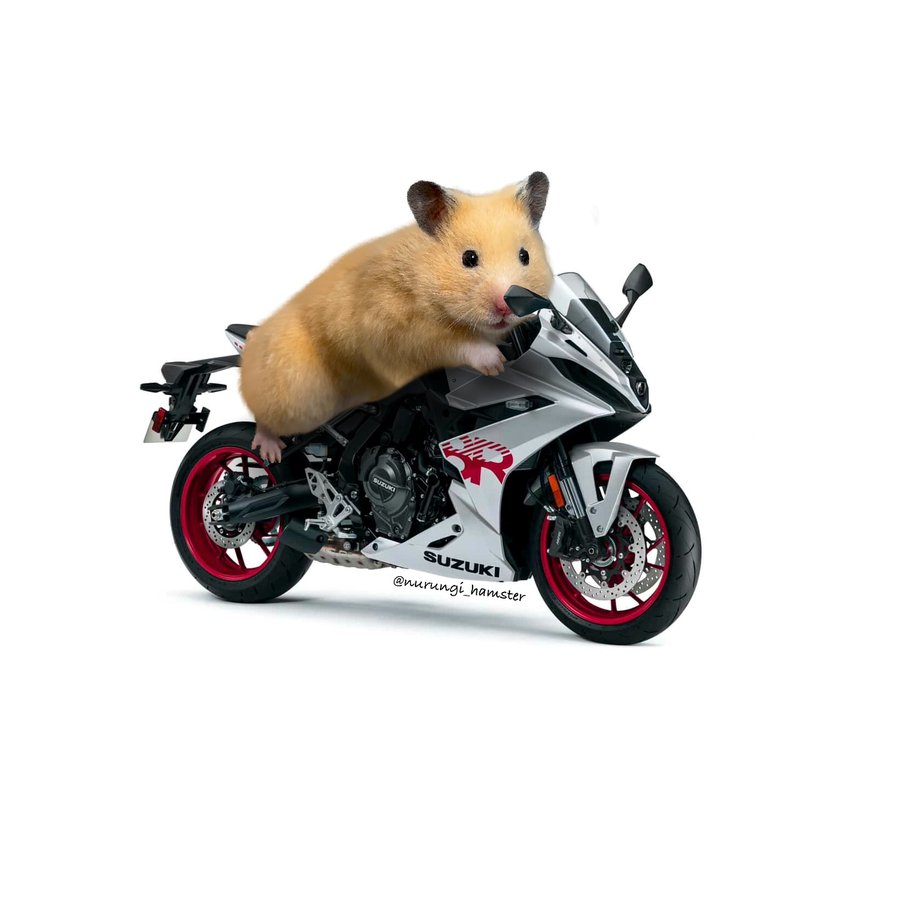 Instagram post by @nurungi_hamster for Suzuki. Caption reads: .