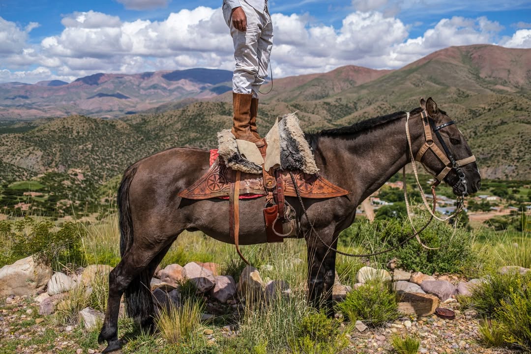 Instagram post by @nataliafavre_ for National Geographic. Caption reads: In this image from our Pictures of the Year 2025,....