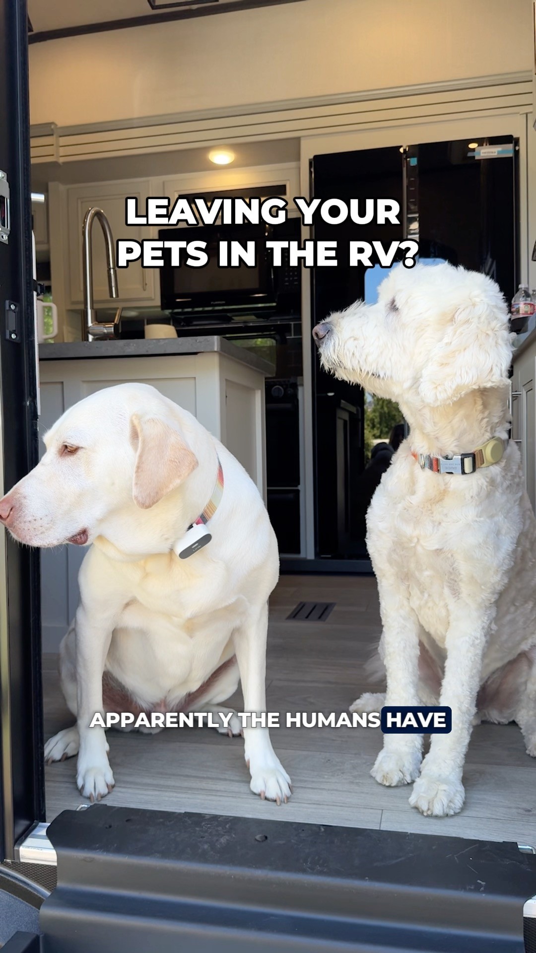 Instagram post by @trishsuhr for Camping World. Caption reads: my humans prep right. do yours? 🐾.