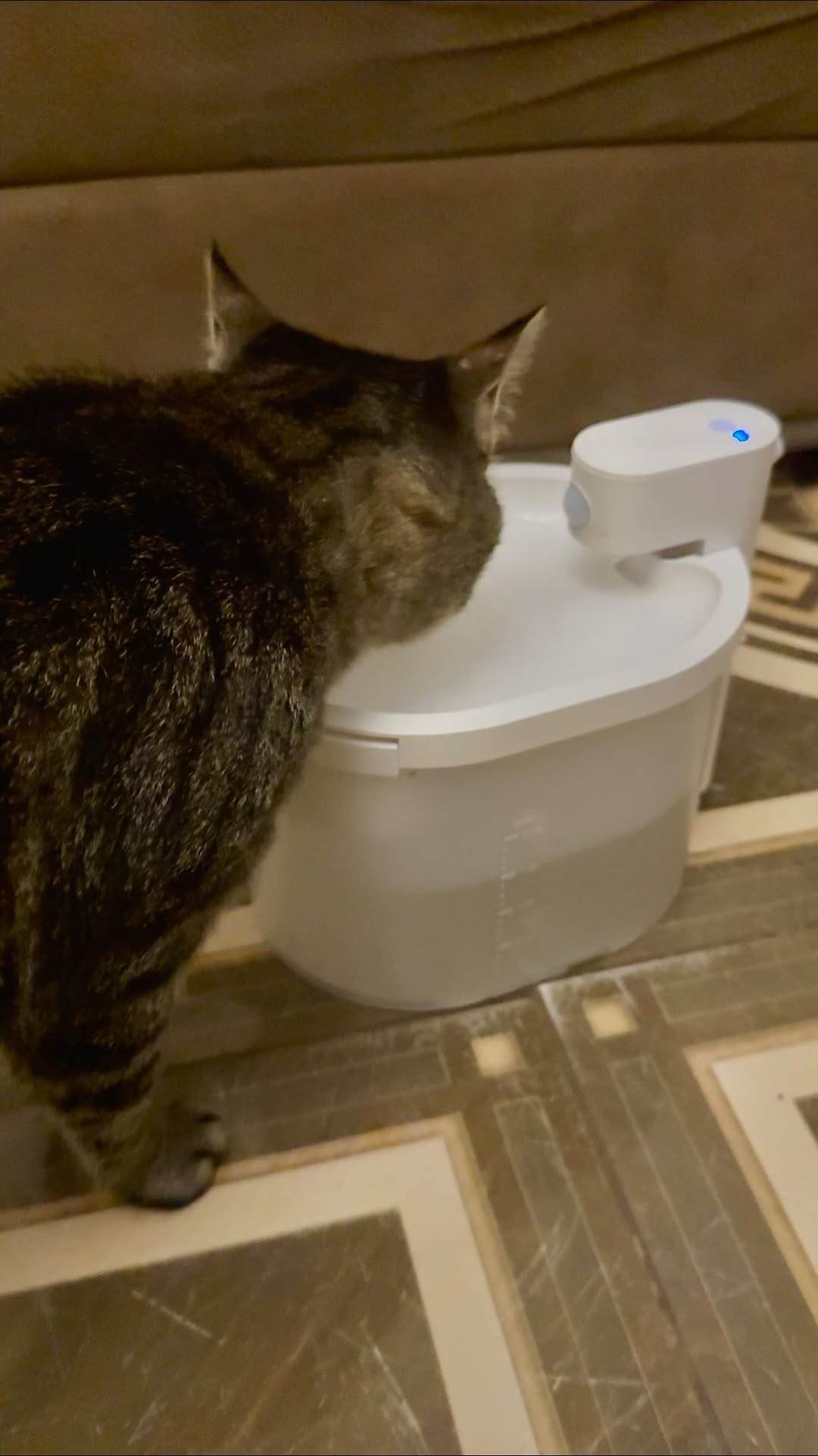 Instagram post by @marusaa_ch for Uahpet. Caption reads: Got this from @uahpet_official 

Wireless ,....