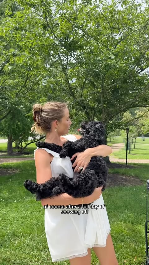 Instagram post by @whitneymarierisner for Petco. Caption reads: the perfect day at the park thanks to @petco #ad....