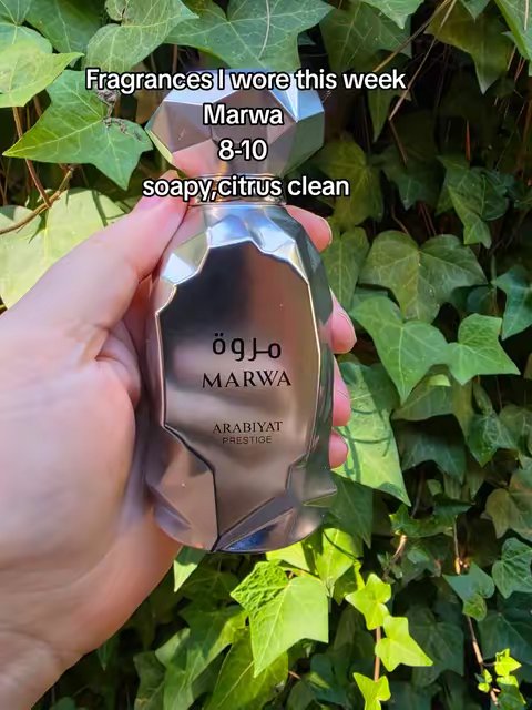 TikTok post by @mountainmanfragrance85 for Arabiyat Prestige. Caption reads: @Arabiyat Prestige @Aramis Fragrances @French....