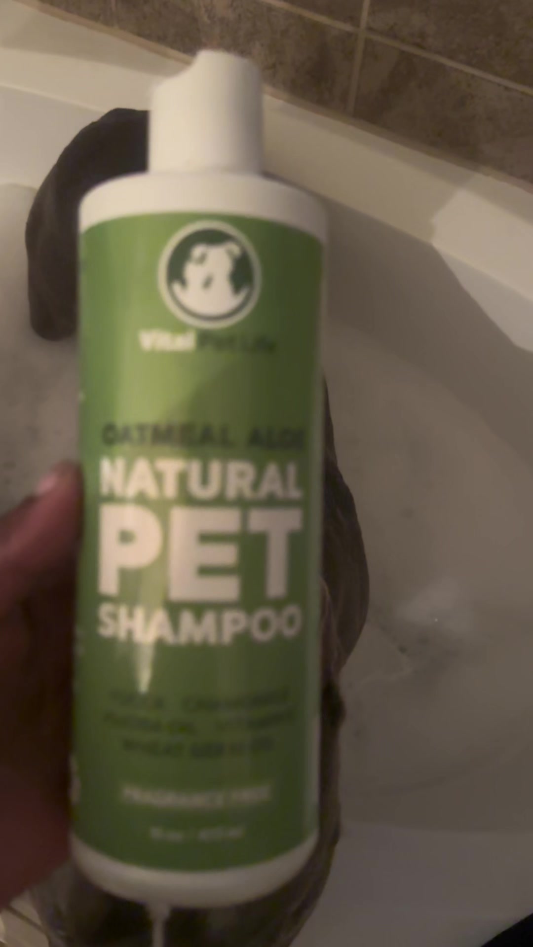 TikTok post by @mari_beelieve for Vital Pet Life. Caption reads: Nothing beats a fresh bath 🐶🛁 Vital Pet Life....