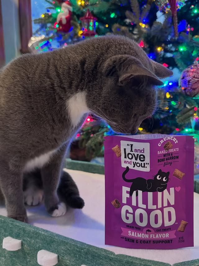 Instagram post by @purrfectinfluencer for I and love and you. Caption reads: New crunchy @iandloveandyoupet cat treats make the....