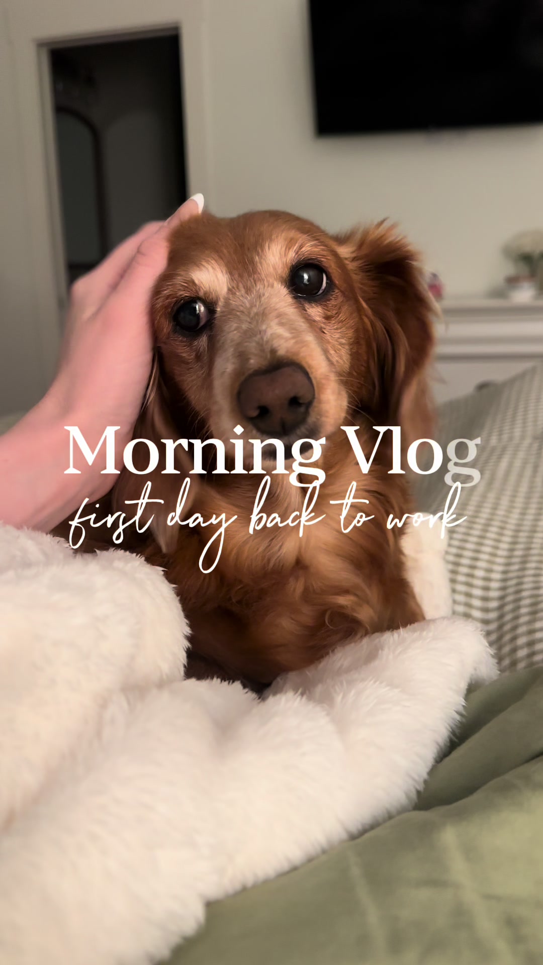 TikTok post by @denverlawler for Oath Nutrition. Caption reads: [...] #morningroutine #realisticmomlife @Oath....