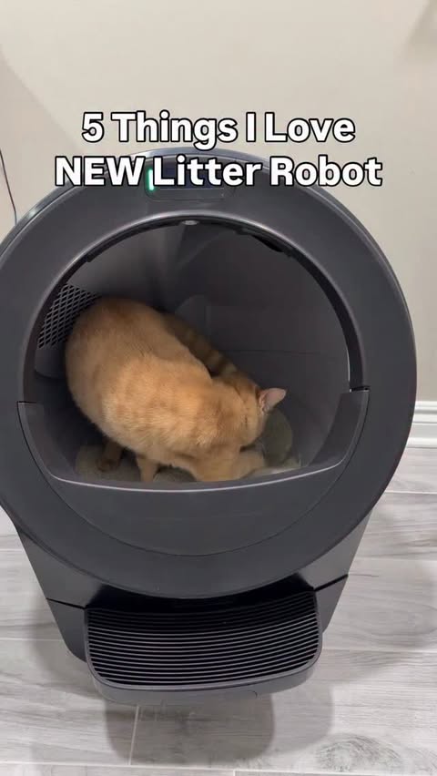 Instagram post by @favoritefinds_ for Litter-Robot. Caption reads: Comment ‘NEED’ to shop! I’ll automagically DM you....