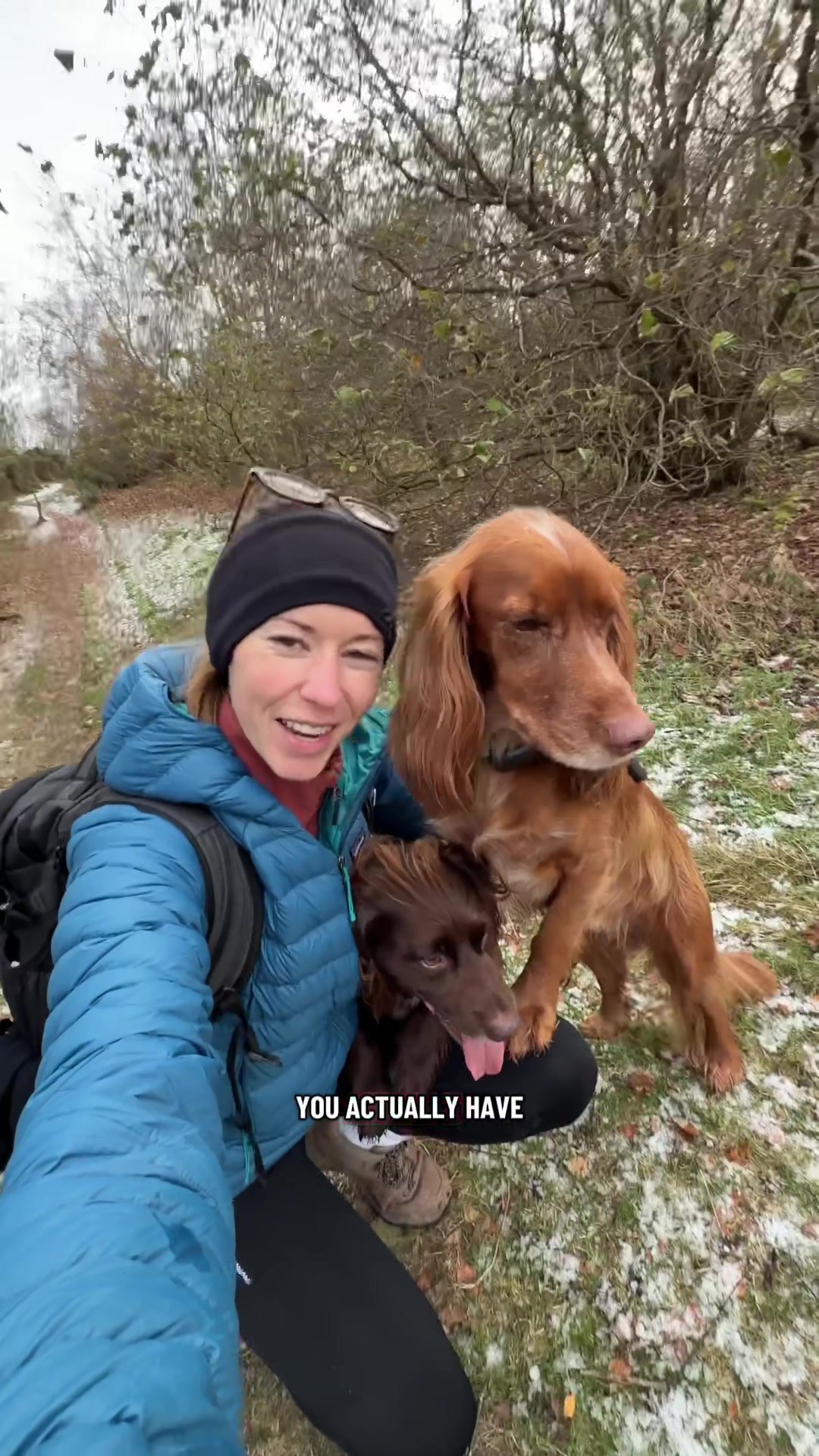 TikTok post by @theedinburghspaniels for Tractive. Caption reads: Let’s bust a myth! 🤓 AD @Tractive Pet GPS  You....
