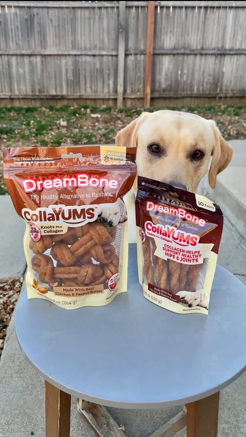 Instagram post by @dexterthebalancingdog for DreamBone Chews. Caption reads: [...] active and I know with the help of....