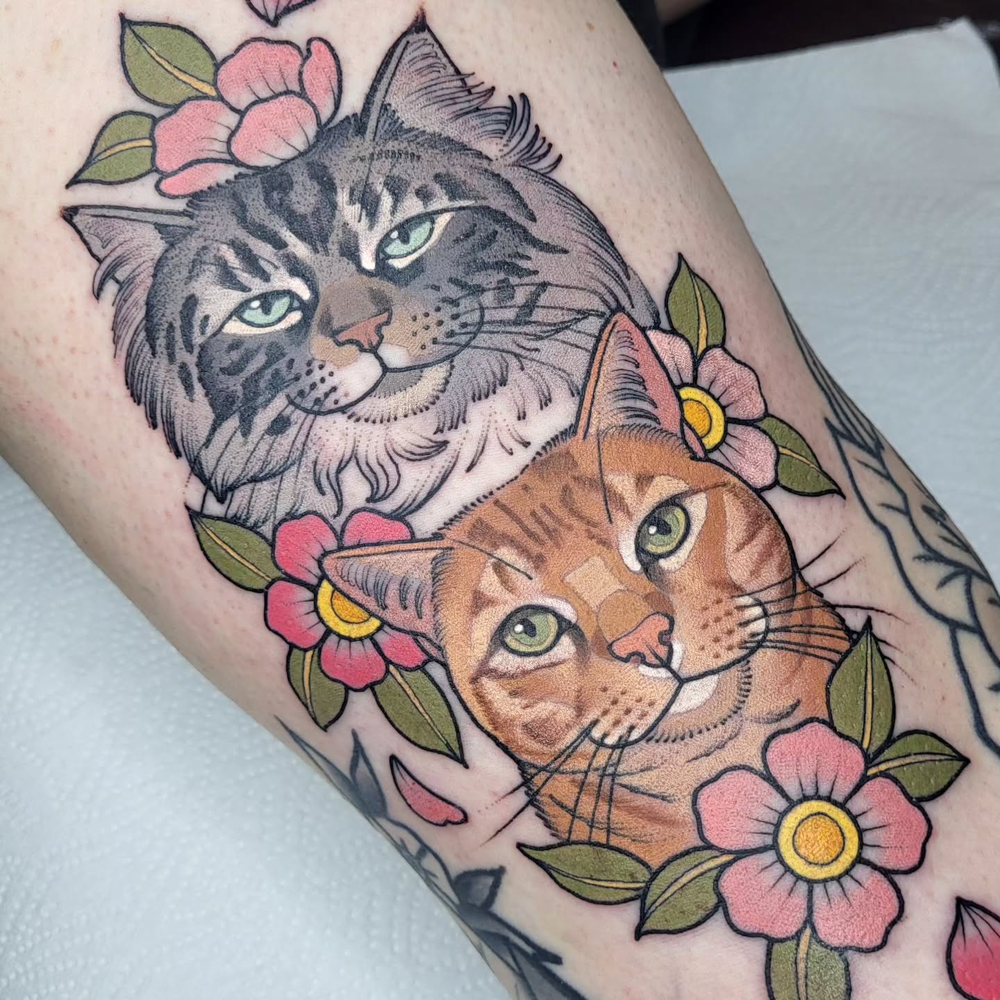 Instagram post by @ali_burke_tattoo for Butterluxe Tattoo Care. Caption reads: Two sweet babies. Big boy Kenny and Wee Pal Otis....