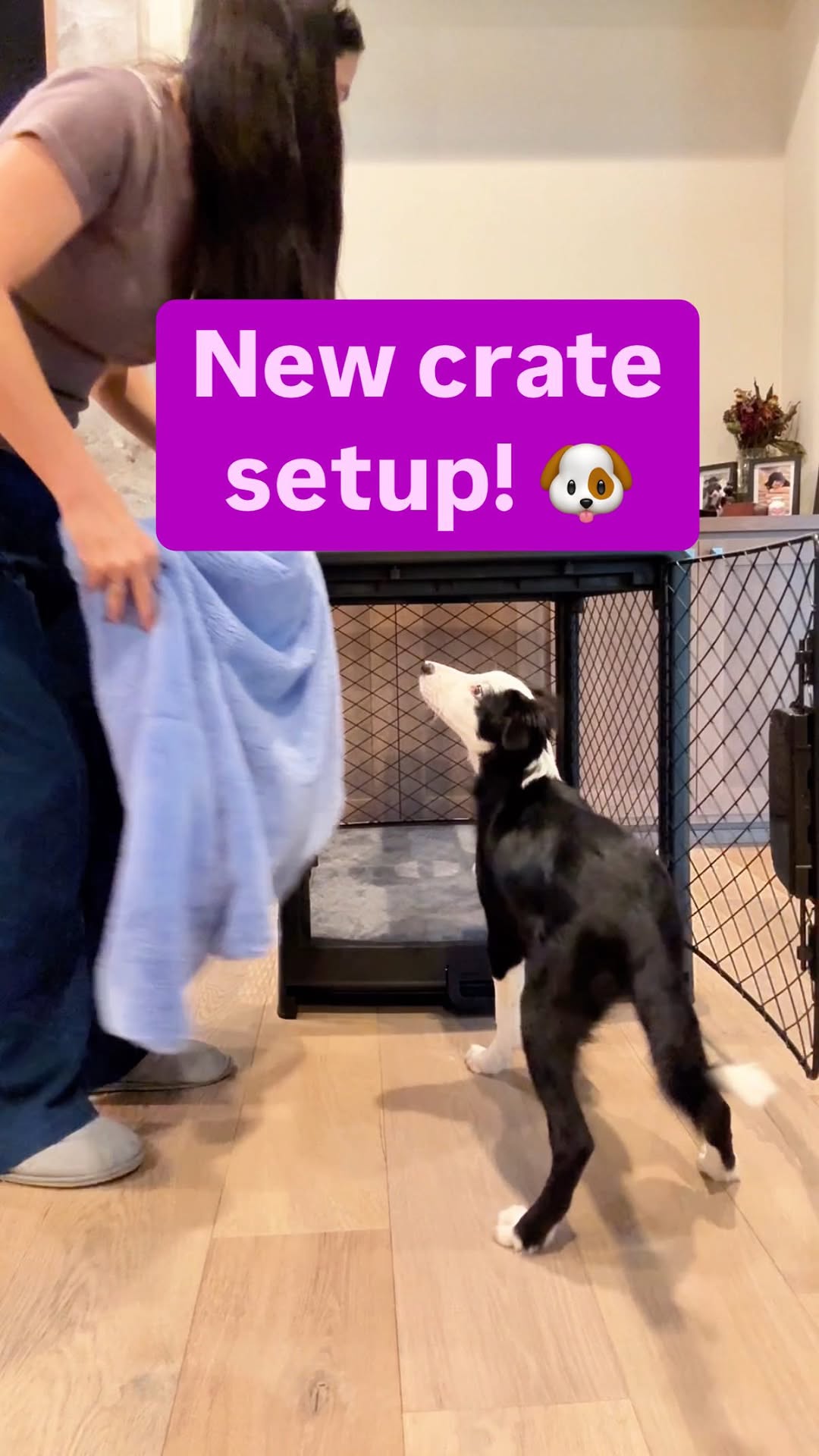 Instagram post by @rachelfusaro for Diggs. Caption reads: 50% off link in my bio! 🥳

I’m REALLY into this....