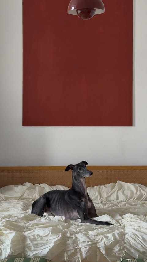 Instagram post by @martinehmele for Maison Margiela Fragrances. Caption reads: (Anzeige) Slow mornings aren’t always still.....