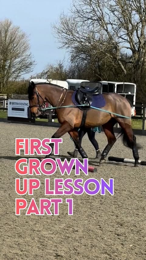 Instagram post by @kittyj.equestrian for Majyk Equipe. Caption reads: [...] the great lesson 🥳 Juno is wearing....