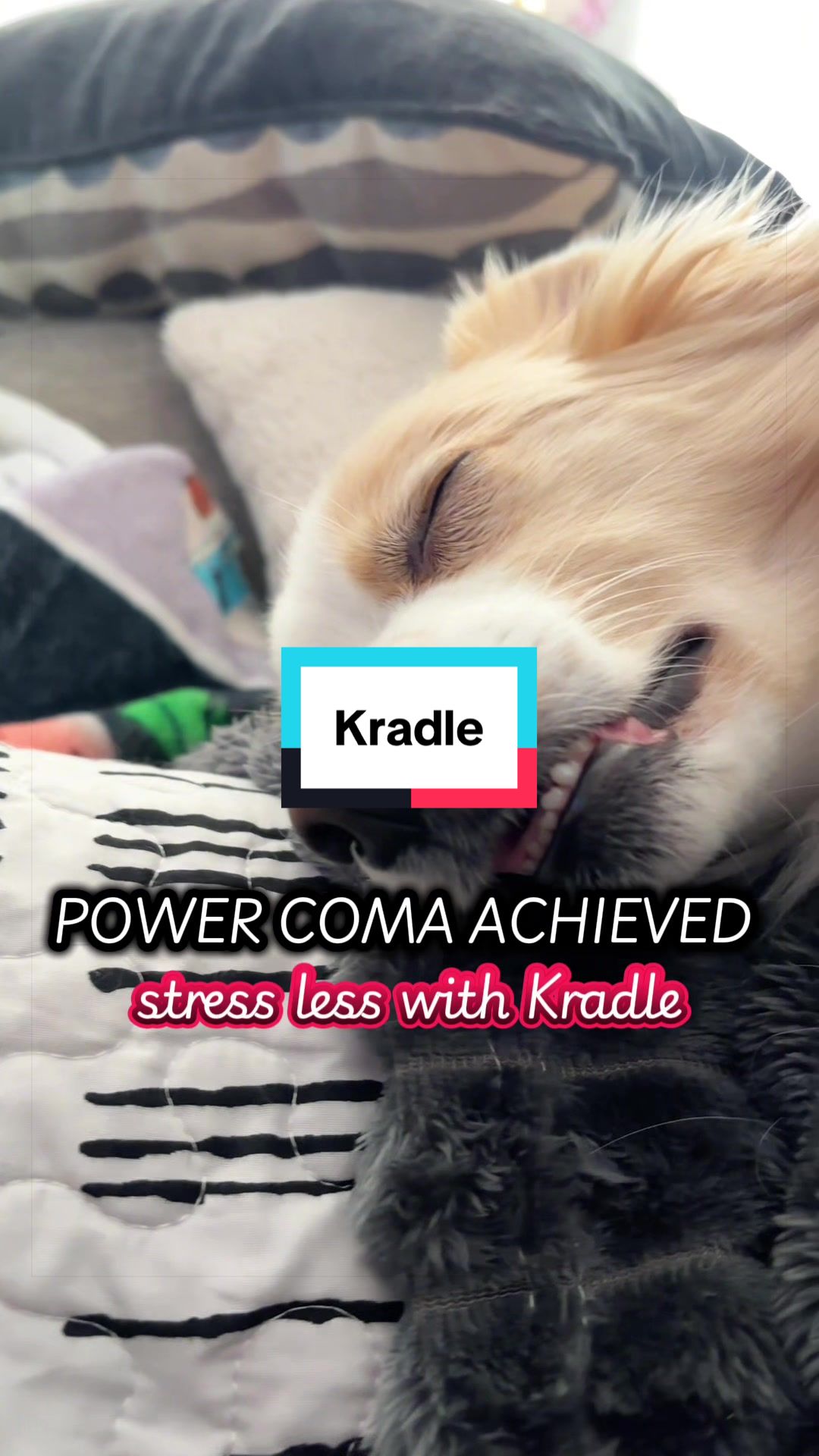 TikTok post by @dog_mom87 for Kradle. Caption reads: [...] #dogsupplements #stresssupport @Kradle My....