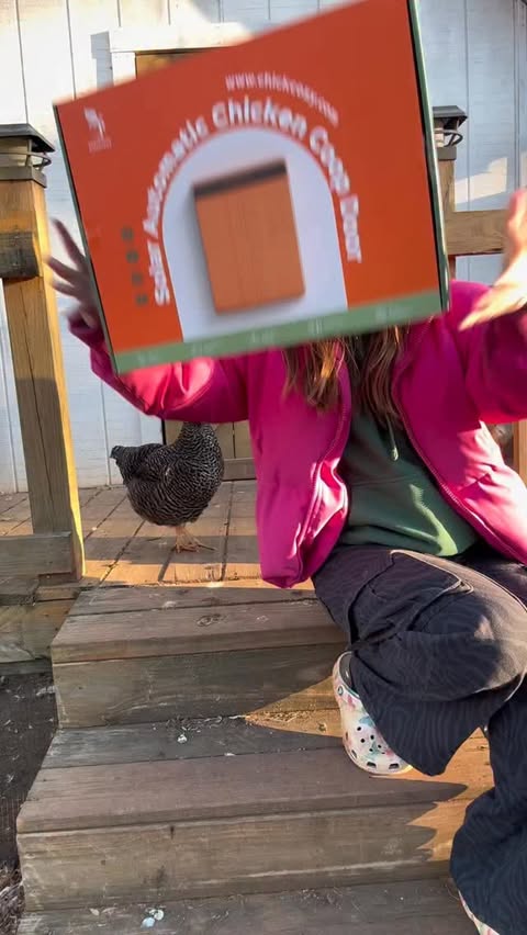 Instagram post by @mmindybryant for Chickcozy. Caption reads: New year, new farm upgrades @chickcozy_ #chickcozy....