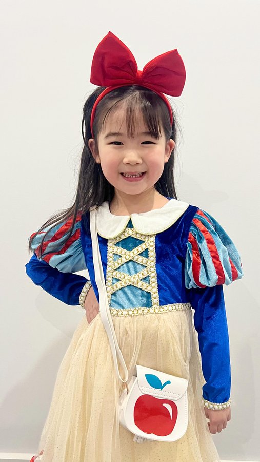 Instagram post by @jarrodandamelia for Disney On Ice. Caption reads: We’re off to @disneyonice soon so I made the....