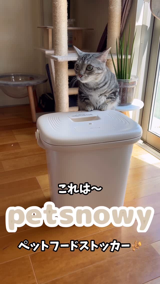 Instagram post by @ame_n103 for PetSnowy. Caption reads: [...] 期待大のフードストッカーの使用感は
また後日𓂃𓂃🫧

#PetSnowy....