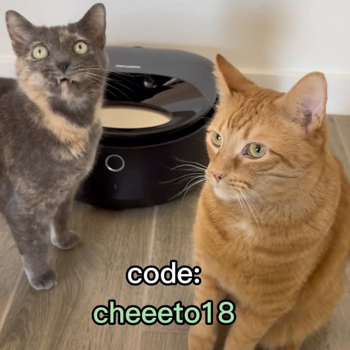 Instagram post by @cheeeto.the.cat for Petlibro. Caption reads: 🥣 Three chilled meals, scheduled from your....