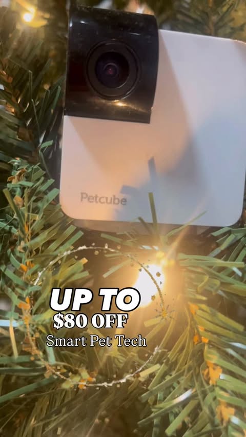 Instagram post by @moose_allison for Petcube. Caption reads: Check out Petcube.com for Black Friday Deals on....