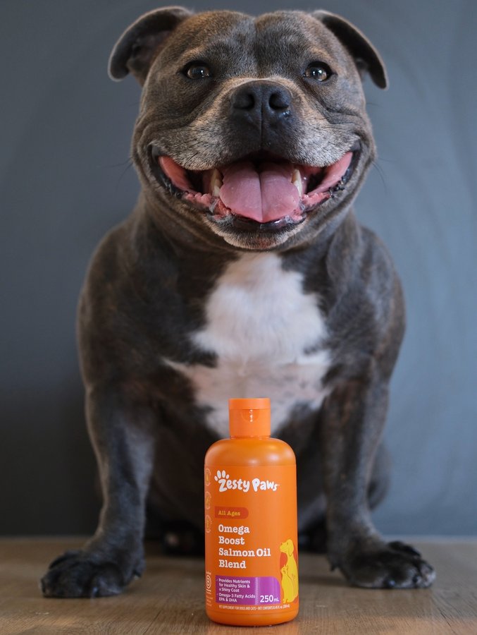 Instagram post by @tommybluestaff for Zesty Paws. Caption reads: Tommy’s secret is out 🐾✨

Zesty Paws Omega Boost....