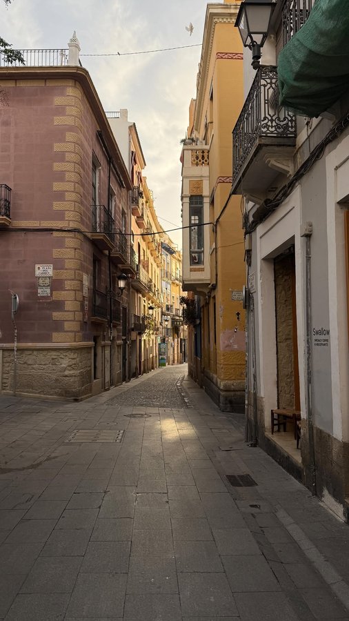 Instagram post by @esmeetrouw for Bangerhead. Caption reads: Keeping my hair extra shiny this season with my....