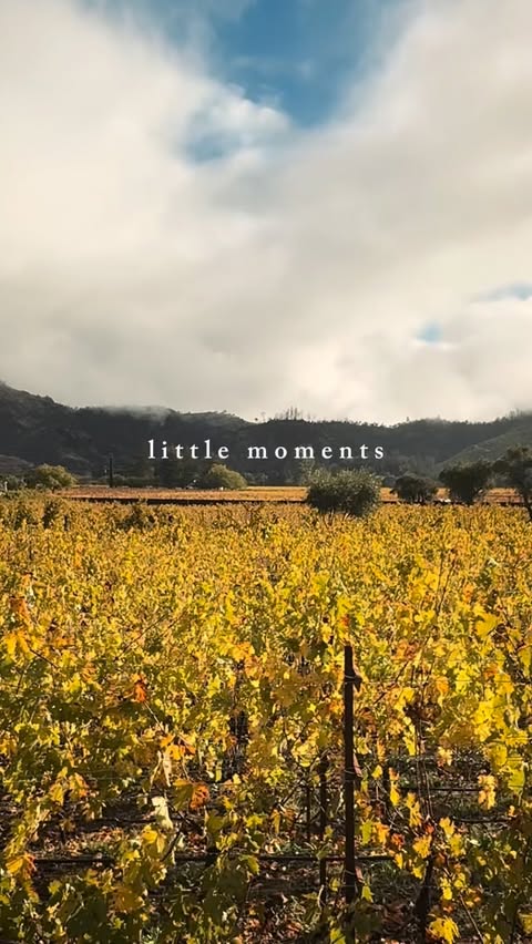 Instagram post by @sweettravelphotos for Four Seasons. Caption reads: December coziness at Four Seasons Resort Napa....