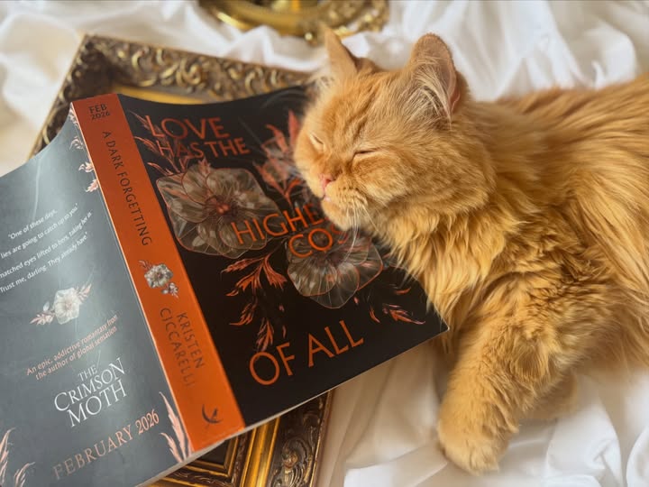 Instagram post by @daniellespurrrfectreads for HarperCollinsUK. Caption reads: 🪾🍂✨ All my thanks to @harpervoyager_uk for....