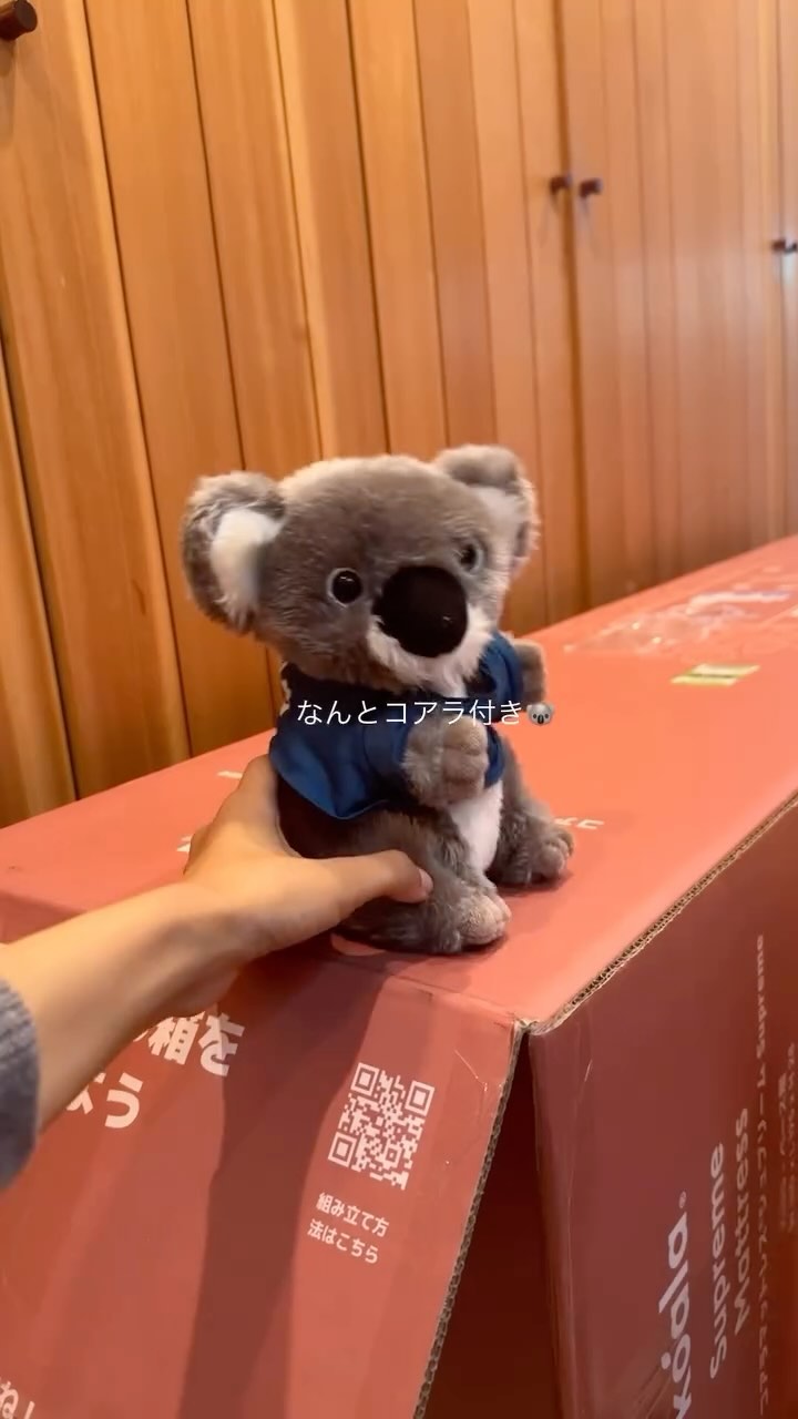 Instagram post by @babwip_ for Koala. Caption reads: 寝室を整えよう計画、まずは @koala.jp....