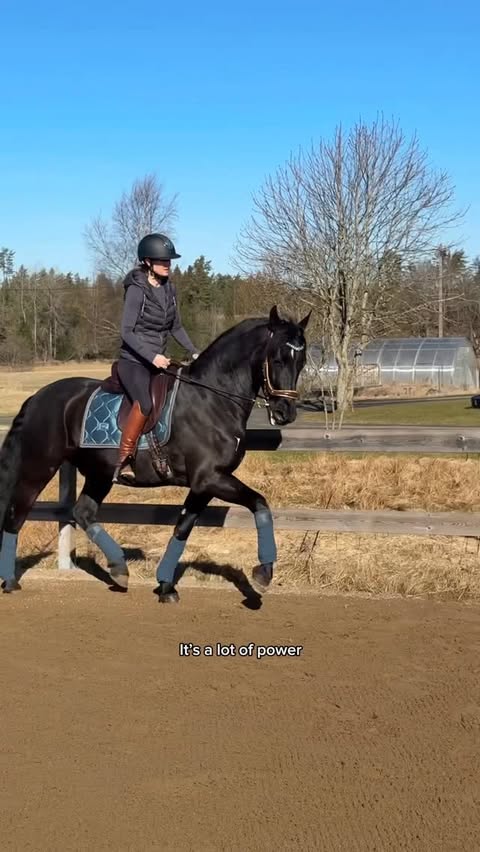 Instagram post by @spiritandhiscrew for EQUESTRIAN STOCKHOLM. Caption reads: Time for a vlog again (from Friday) 😍🎥🐴 Rolex....