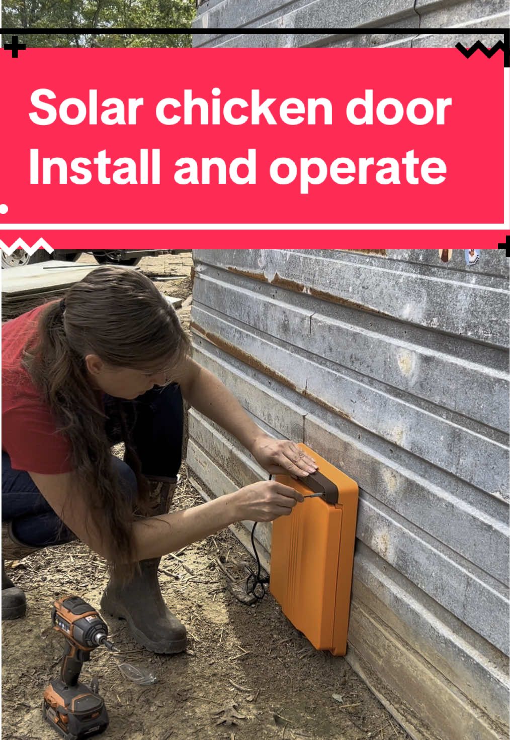 TikTok post by @stacy.sustainablying for Chickcozy. Caption reads: [...] and operating! #solarpower #chickens....