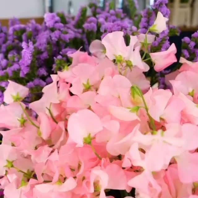 Instagram post by @sjdooley for Arena Flowers. Caption reads: In my florist era baby! 
💐

Delighted to finally....