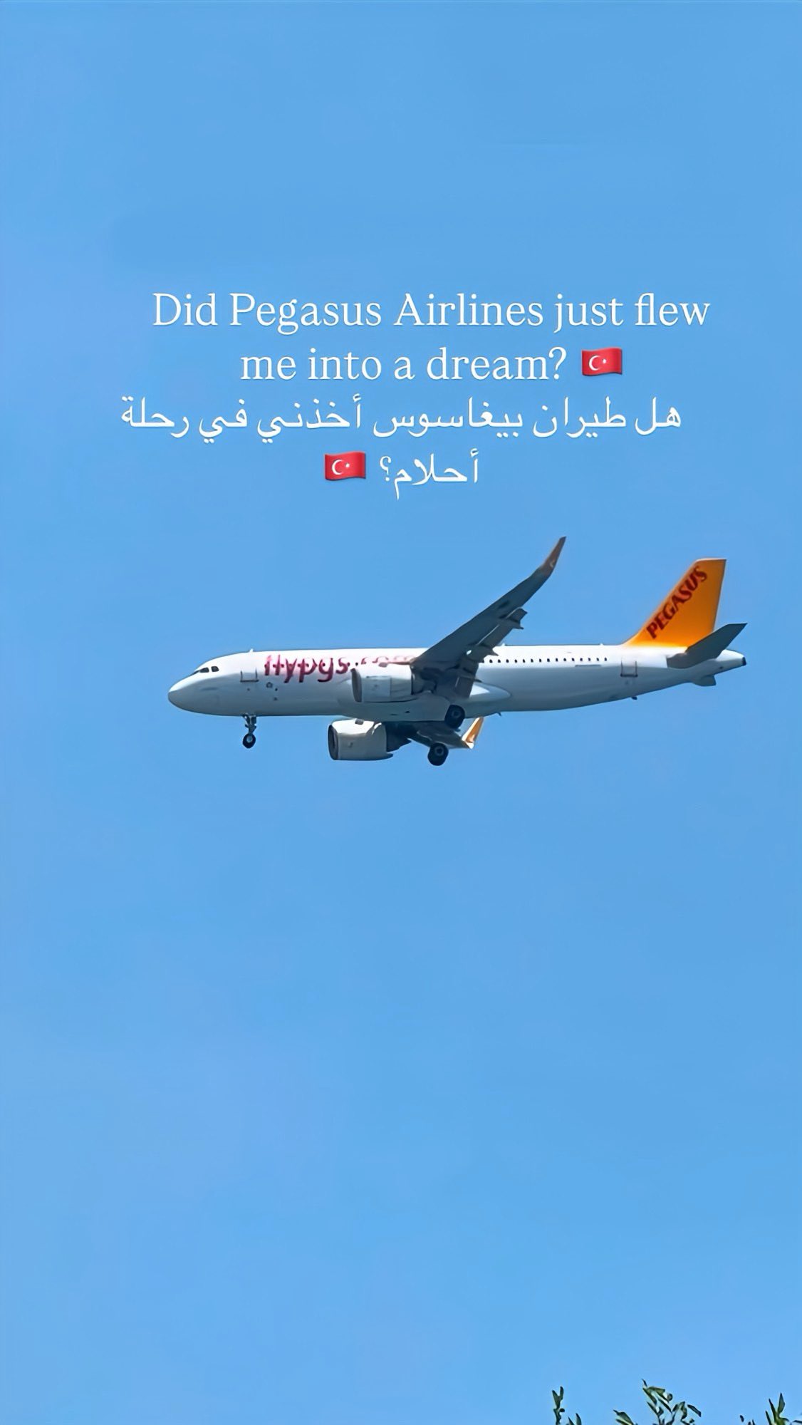 Instagram post by @selenajinah for Pegasus Airlines. Caption reads: Pegasus Airlines just flew me into a dream plane....