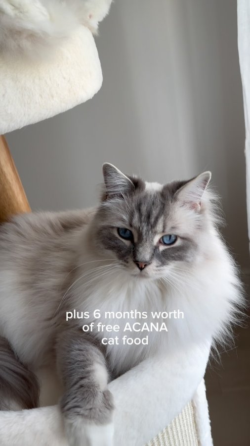 Instagram post by @buzzandposy for ACANA Petfoods. Caption reads: GIVEAWAY NOW CLOSED! 🐾
(Winner will soon be....