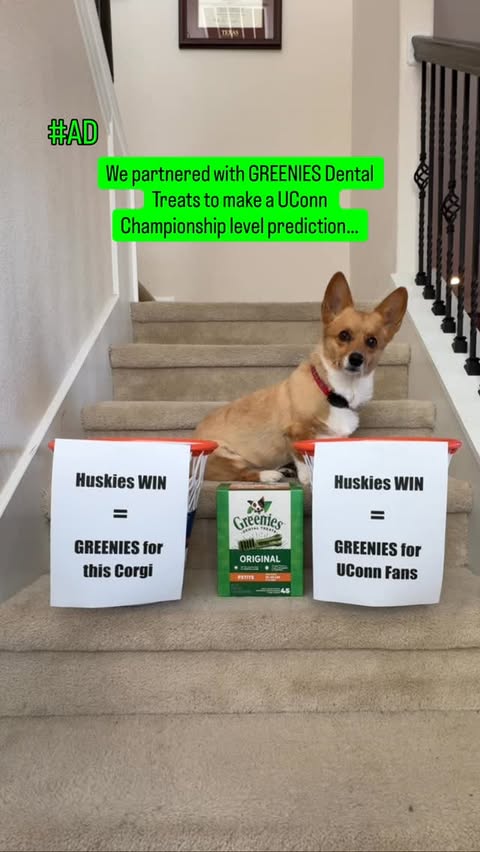 Instagram post by @aircorg for GREENIES. Caption reads: [...] there. 🏀 I’m excited to team up with....
