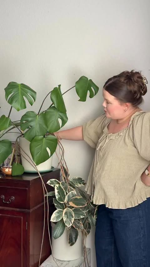 Instagram post by @mippapiddleton for Rosy Soil. Caption reads: [...] some perking up so a repotting with....