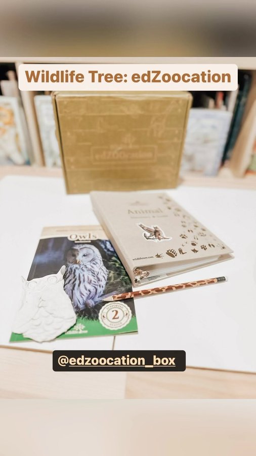 Instagram post by @alearningwewillgo for edZOOcation. Caption reads: 🦉 anyone else have an animal-loving kid?! I....