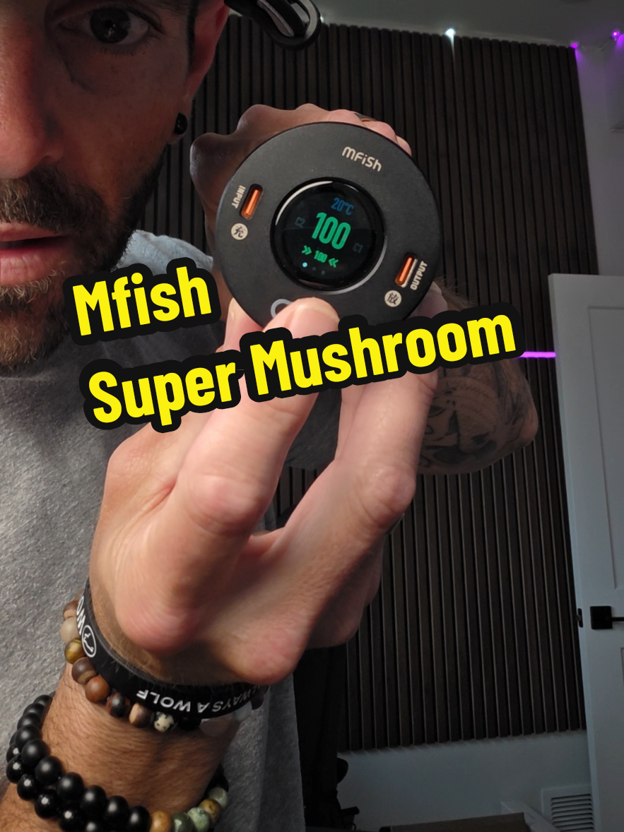 TikTok post by @theghousefam for Mfish Tech Inc. Caption reads: [...] #summervibes @mfish tech inc.