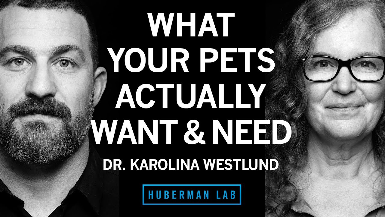 YouTube post by @hubermanlab for Joovv. Caption reads: What Pets Actually Want & Need | Dr. Karolina....
